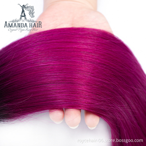 Amanda Wholesale Price Cuticle Aligned Human Hair Bundles with Closure Two tone color Hair T1b Purple
